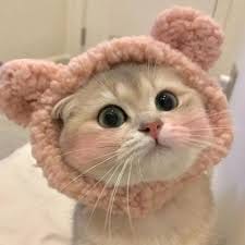 มารี เบรินเนอร์ avatar